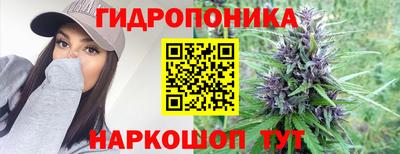 гидропоника Ливны