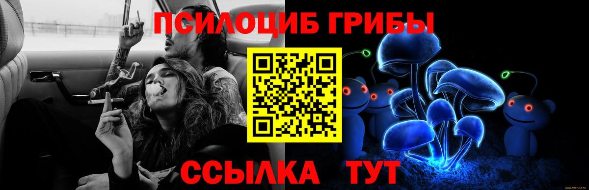 где продают наркотики  Псилоцибиновые грибы мухоморы  Вход с VPN  Славянск-на-Кубани 